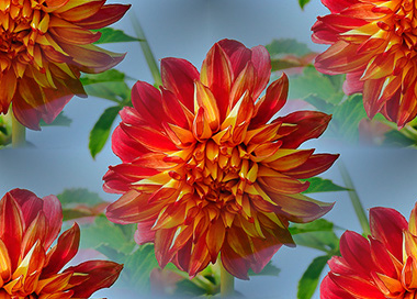 Бесшовные Оранжевые фоны от tane4ki 777