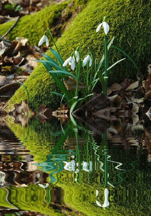 5931c5de5eb45d9e90c1f268e2b3fda3