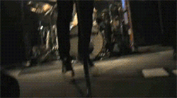 legsconverse