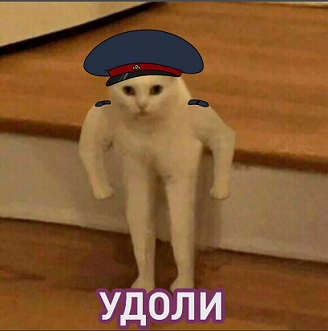 dsfdsfdsfsfsdfsdfsdfsdf