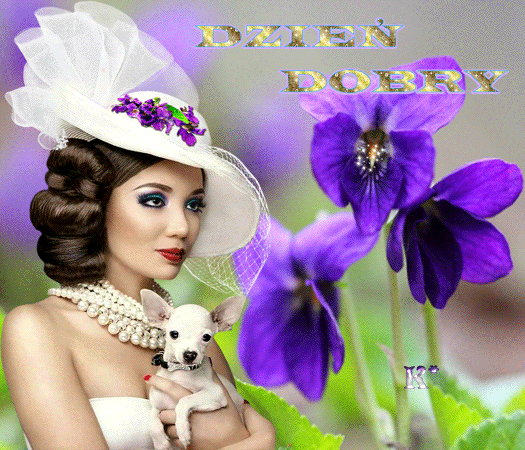 dzień-dobry---fiołki