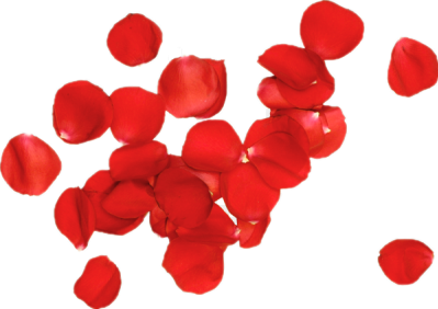 567bd0944cd1e151d3a6c35b (1)