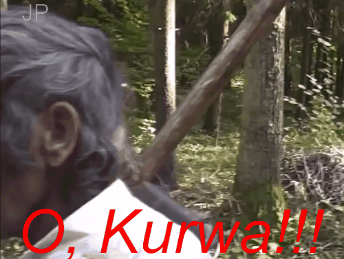 1464809831_o-kurva-gif-2