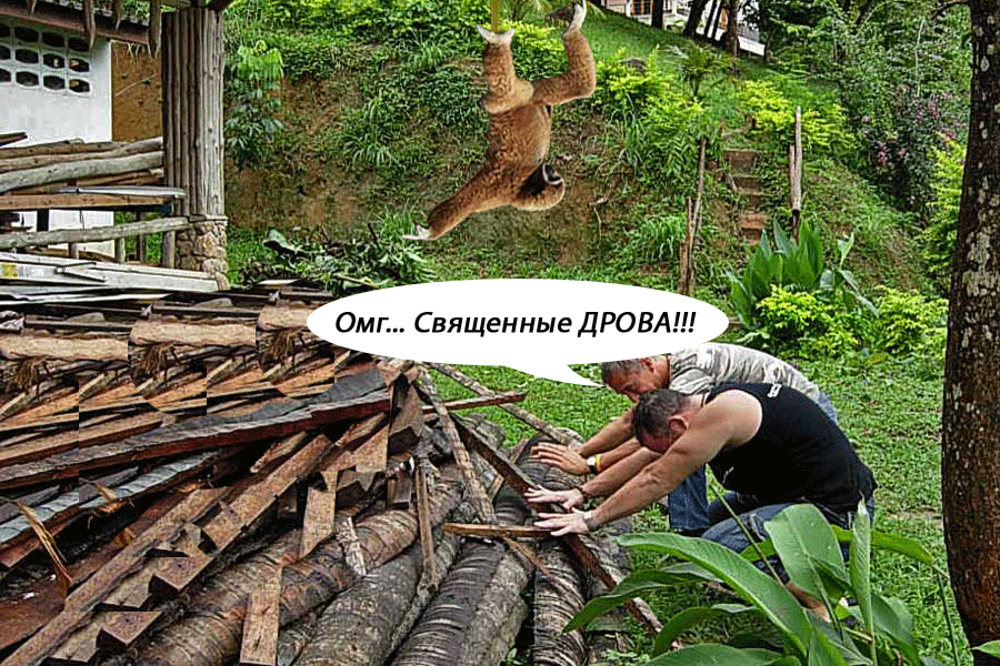 Наломать дров фразеологизм. Шутки про дрова. Дрова Мем. Обезьяна колет дрова. Анекдот про дрова.