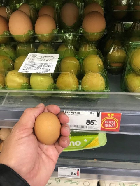 egg