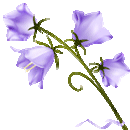 0_c08e6_5b77f002_S_yapfiles