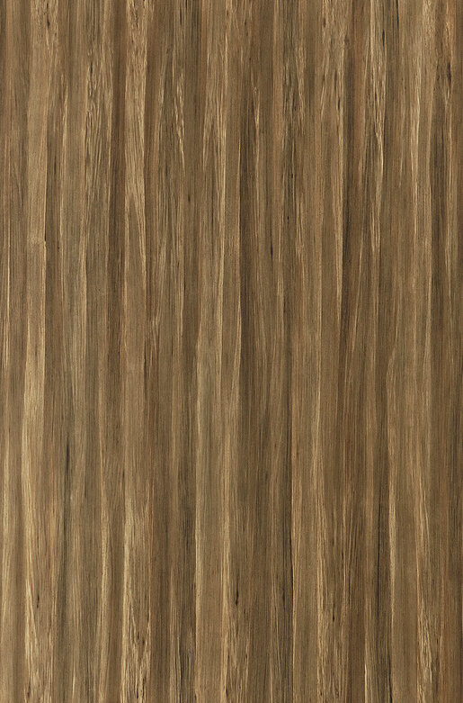 EWN 6949R Paradisiaca