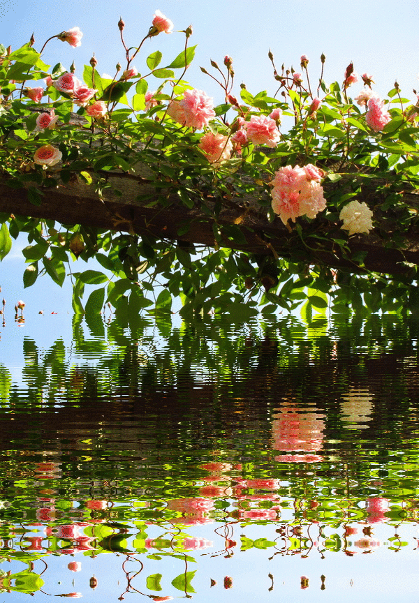 2f86f751b2d9693f57a8857cc2b20354