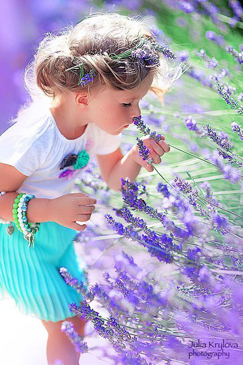 6742cc195c0524a702289a179ec54de0