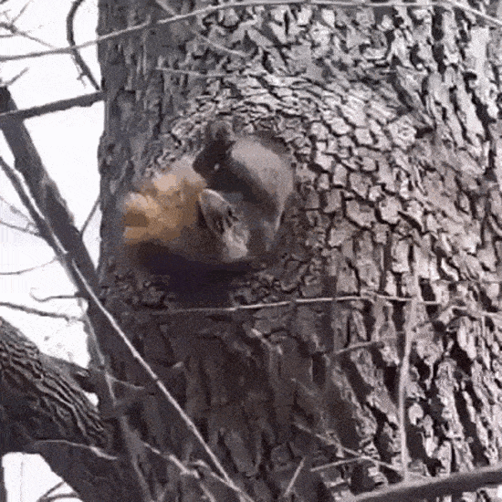 последний кусочек пирога был лишним