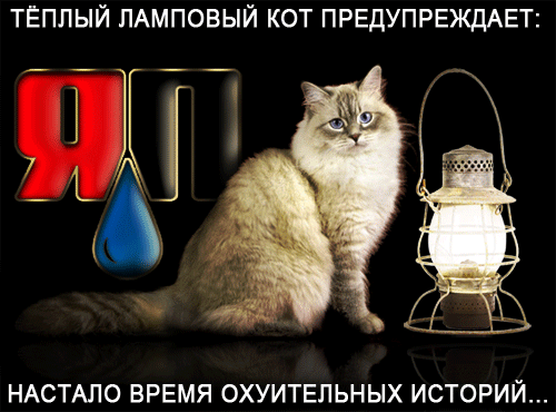 Кот и лампа. Живые обои. — Video | VK