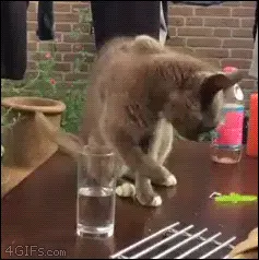ebbb96ffcdc