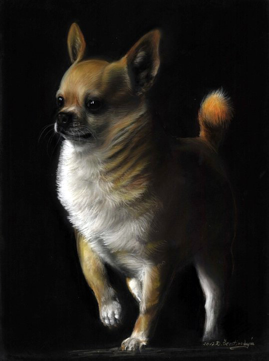 Konnor My Pride and Joy