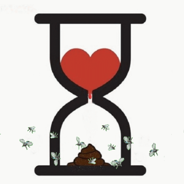 жизни до смерти