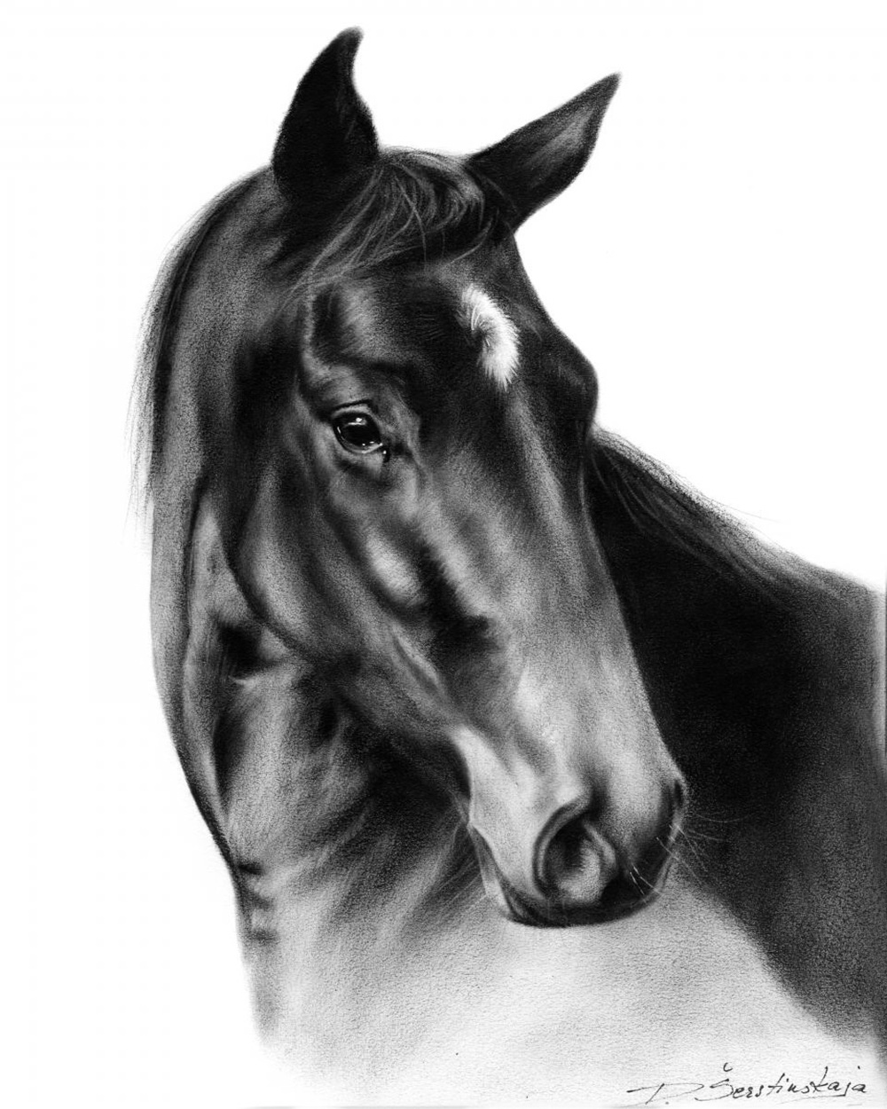 Гиперреализм рисунки лошадь карандашом