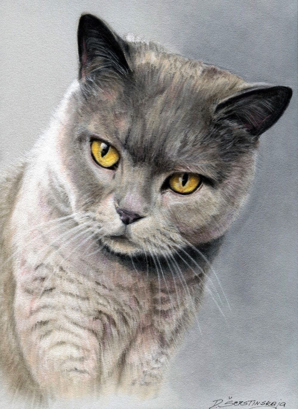 Британский кот пастелью