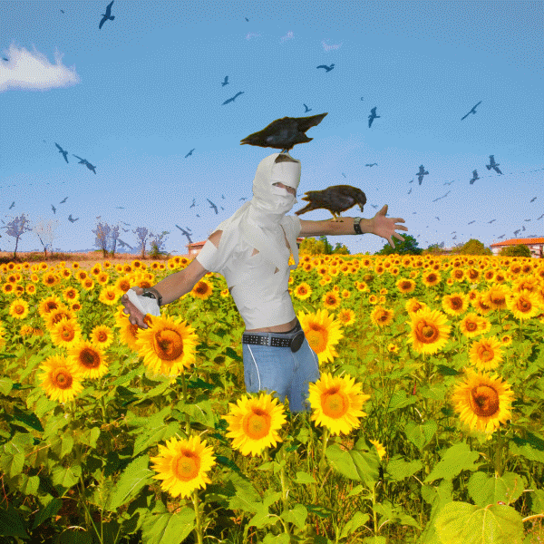 в поле  пугало