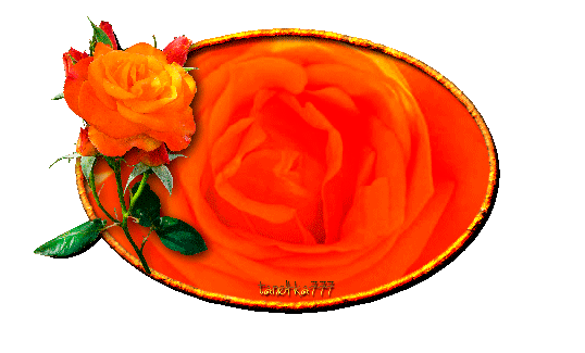 Коллаж + Анимация от tane4ki 777 "Оранжевые розы"