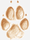 png-transparent-fox-animal-otter-drawing-invertebrate-fox-animals-paw-animal (1) (1)