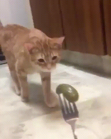 1555091796149657026
