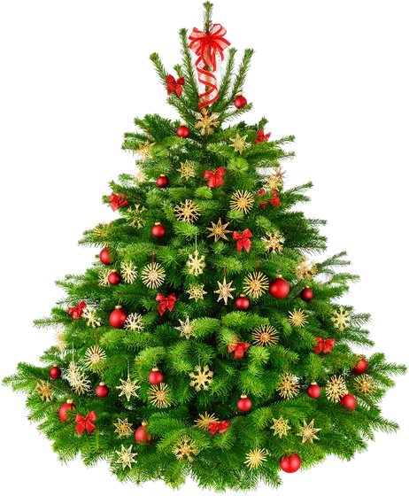 1539179285_christmas-tree-