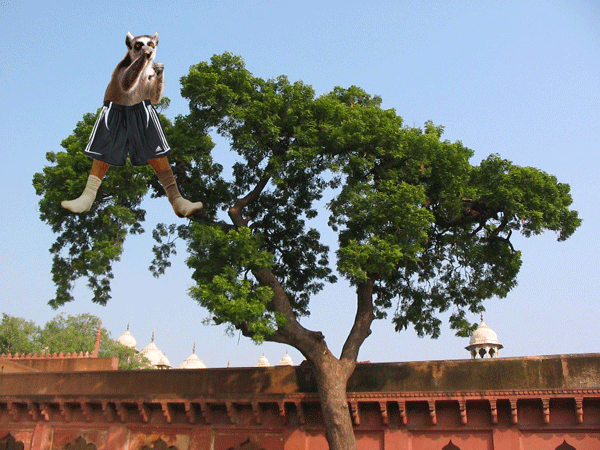 Мудило-страшный