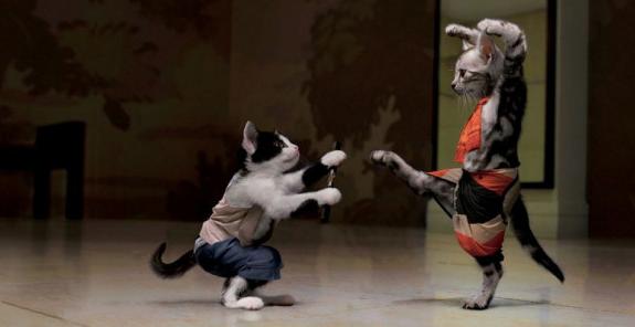 коты 1