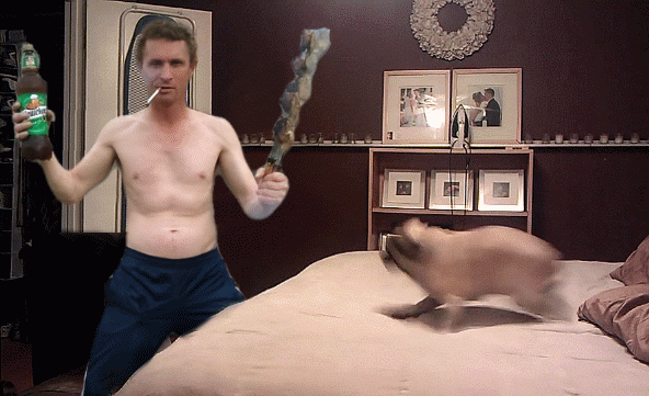 запах ....пес попрошайка