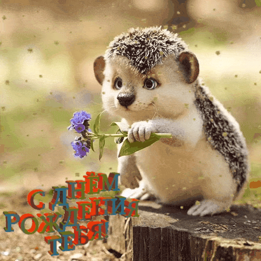 imagetext_ru_imagetext_ru_29752