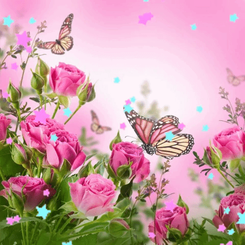 imagetext_ru_imagetext_ru_29784