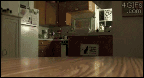 Cat_treats
