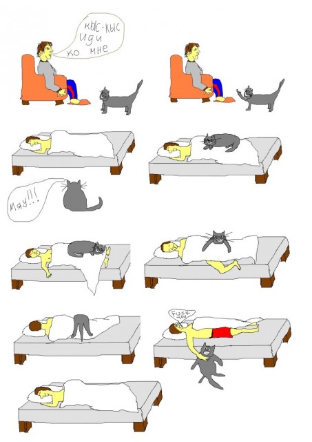 котэ