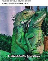 названия (1)