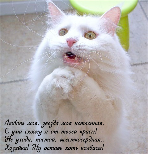 Турнир_2 тур