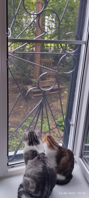 WhatsApp 2023-06-27 в 15.32.33