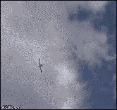 Crash_Reno_air_show