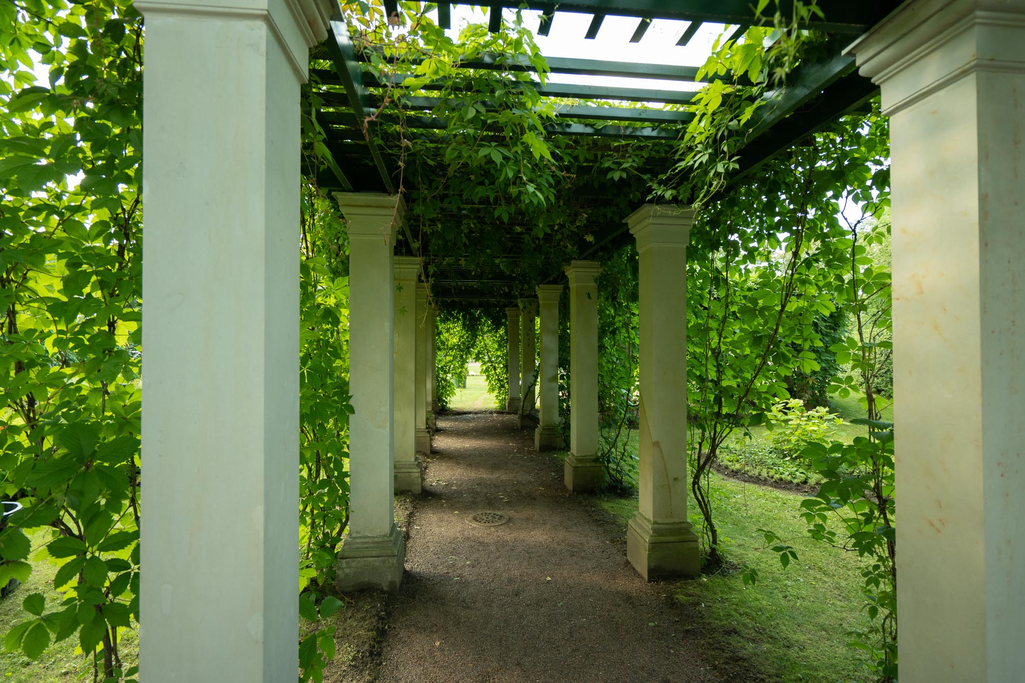 pergola-sobstvennyj-sad-fermerskij-dvorec-170253big