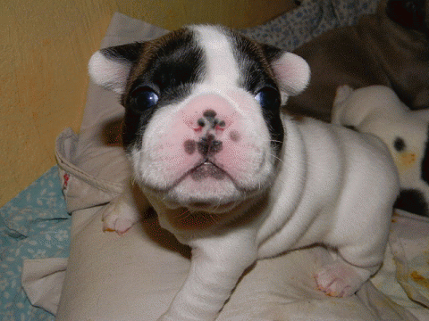 b1afa976916fe41769d0f5bdbb2b0147