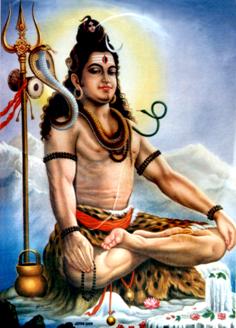 sivapadma