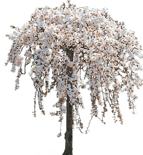 0_168884_8878862b_orig_yapfiles.ru