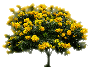 95c2b189b5357690216f9eb2a9324d3e_yapfiles.ru