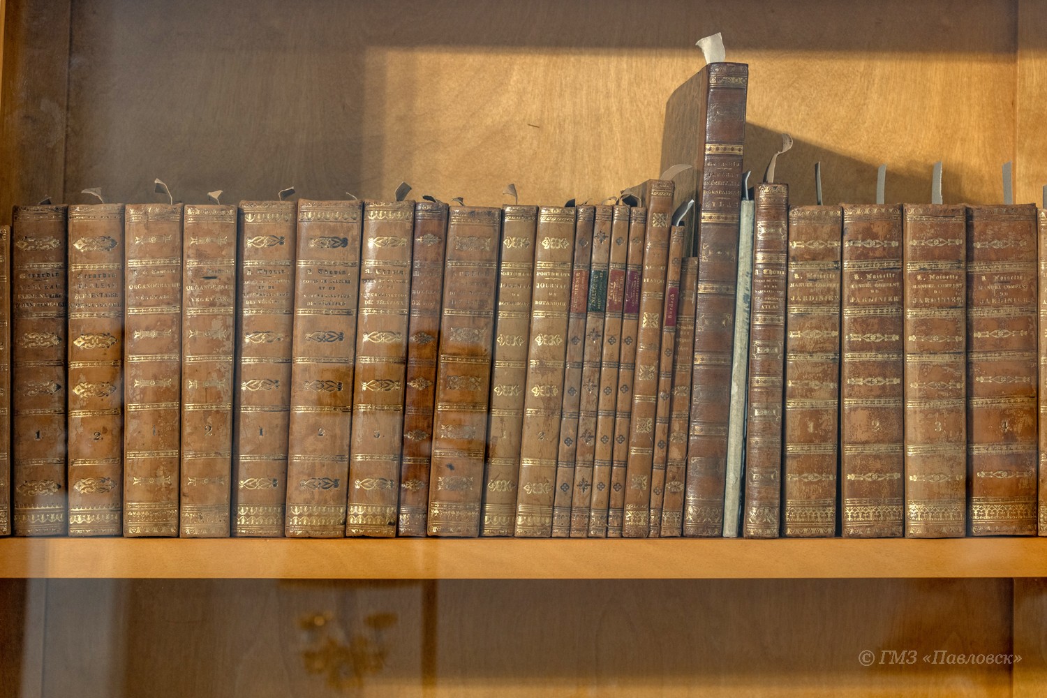 c7589e9381d4f3df2716c79306e04782