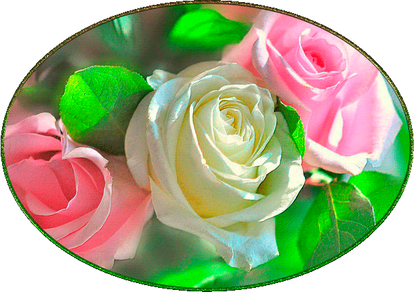 Коллаж "Розы"tane4ka777