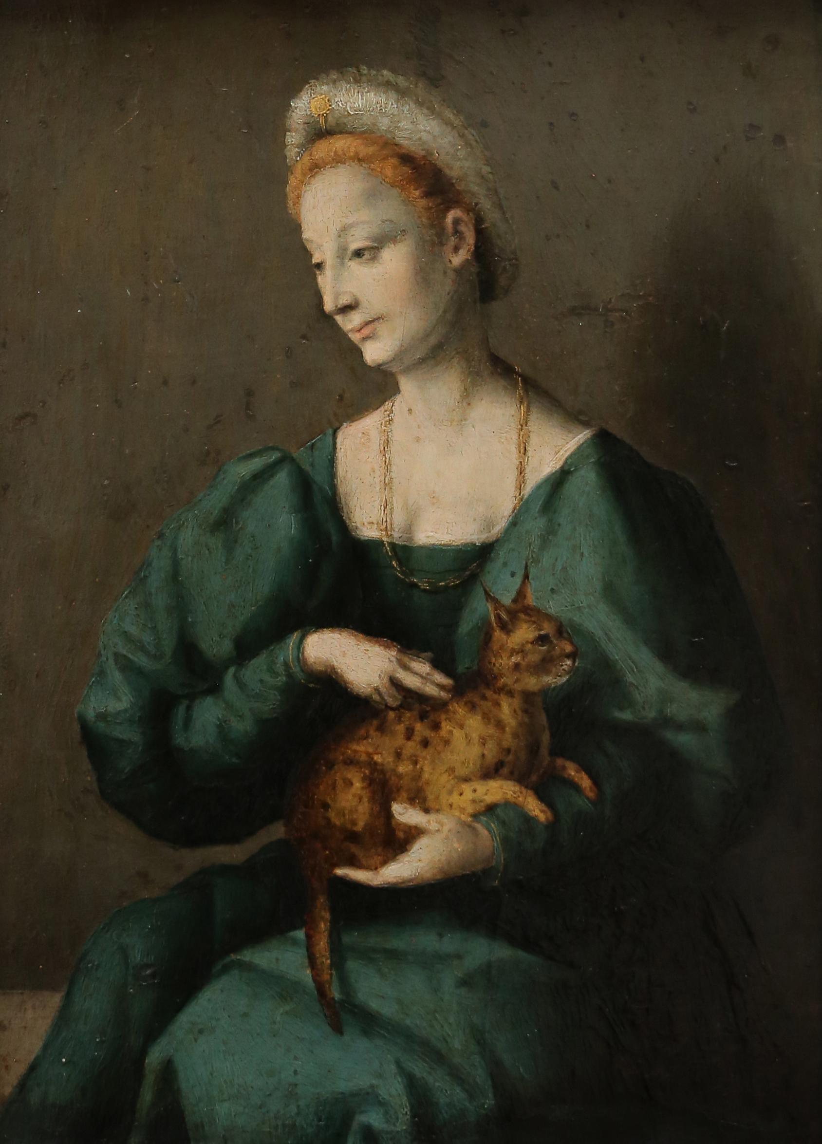 Bacchiacca,_ritratto_di_dama_con