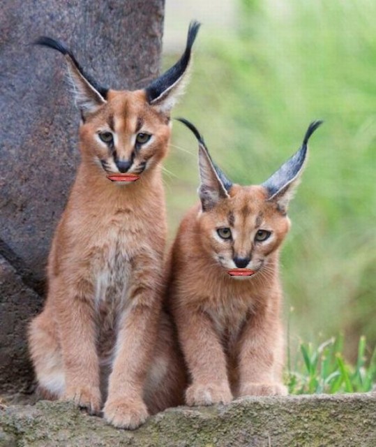 post-3-13191897227072