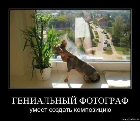 staff_foto