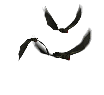 bat_wow
