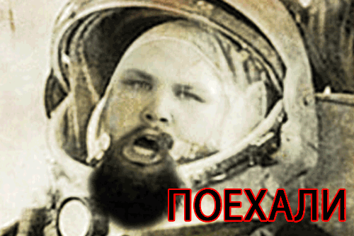 1157443446