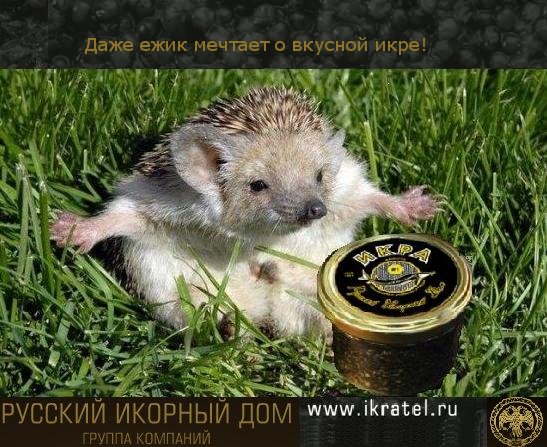 post-3-129619999388481222