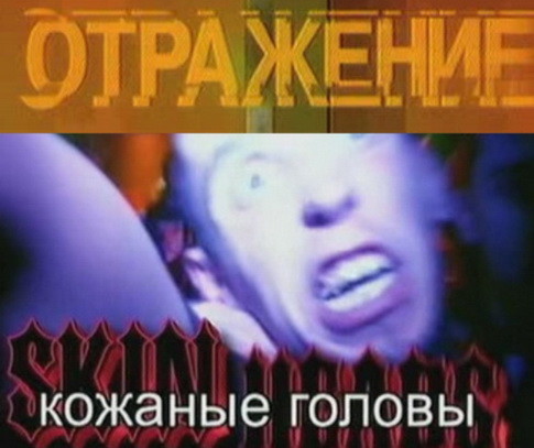 NWOdK5xnKr